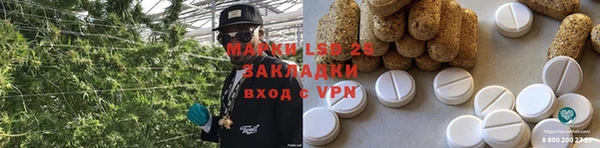 ПСИЛОЦИБИНОВЫЕ ГРИБЫ Алексеевка