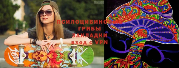 ПСИЛОЦИБИНОВЫЕ ГРИБЫ Алексеевка