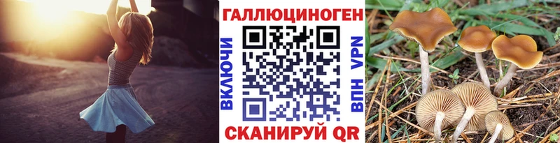 площадка состав Красноуральск Псилоцибиновые грибы мухоморы